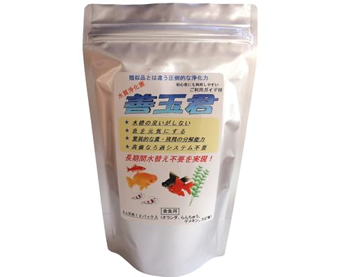 善玉君粉パック(金魚用)6ヶ月分(12パック) 「ネイチャー北杜」