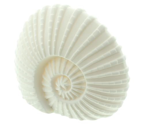 FRANK FLECHTWAREN, LED-Muschel White, Maße: 18 x 9 x 15 cm, Maritimes elegentes Flair, Schöne Meeresschnecke, beleuchtet