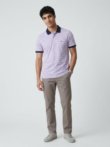 Image of Park Avenue Men Slim Fit Stripe Pattern Pure Cotton Polo Neck Half Sleeve Casual T-Shirt