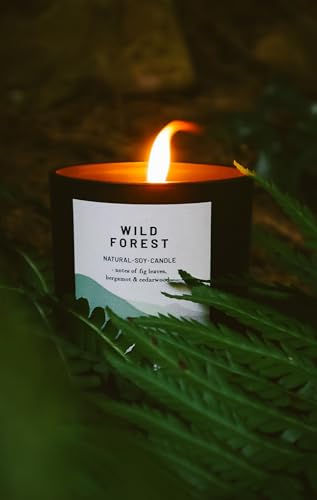 Wild Forest - Organic & Vegan, Luxury Scented Candles. Hand Poured in Loch Lomond, Scotland (+7 Scent Options) - Image 6