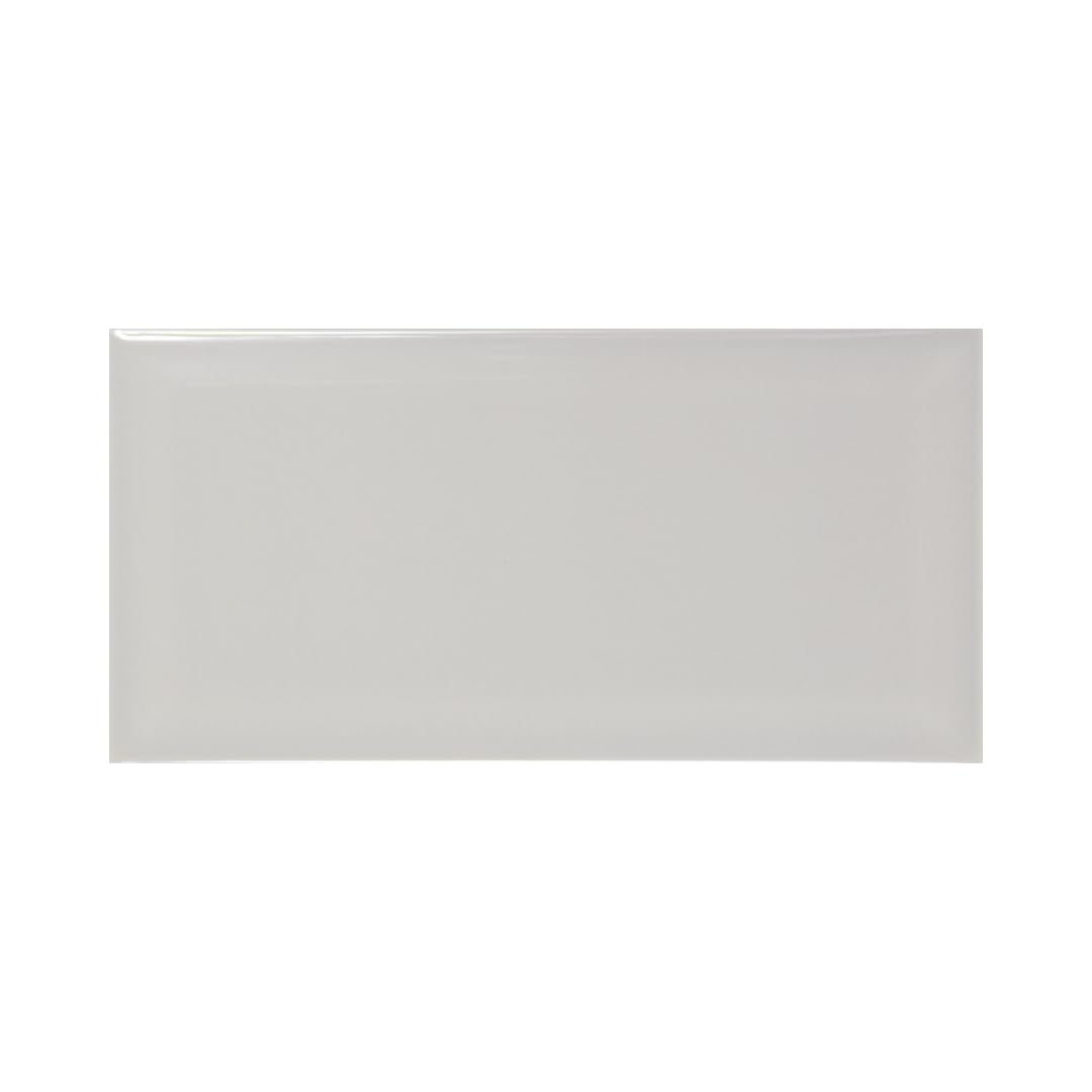 Devon Bevelled 100x 200 Metro Brick Ceramic Tile (50, Light Grey)