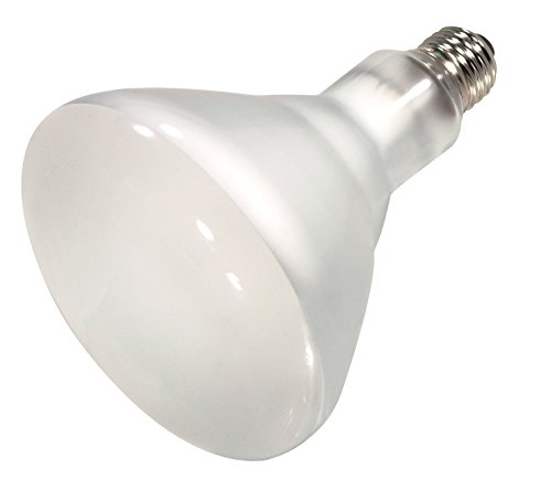 Satco 7007 Pool And Spa Bulb 500W 130V Frosted