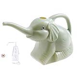 Capacidad: diseño de boca larga, gran capacidad de 2 l hace que tus plantas sean aún más fáciles y ahorra tiempo de añadir agua a menudo. Botella de spray de regalo gratuita (1 unidad de 300 ml)
