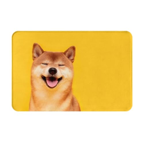 ���փ}�b�g�Č����ʌ����V�o�C�k(1)�A�j�������}�b�g�z�������R�ۖh�L�o�X�}�b�g�z������~�ߖh�J�r�������L���o�X���[���L�b�`���l�G���p�J�[�y�b�g���킢���v���[���g40×60cmR5T6Y42