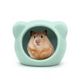 Andiker Hamsterhaus aus Keramik, niedliche Tierform, Hamsterhöhle, Sommer, Cooles Kleintierversteck Lebensraum Dekor für Zwerghamster, Rennmäuse, Chinchilla, Goldener Seidenbär