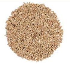 Canadian Canary Seeds 5lbs