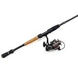 Cadence CR5 Spinning Rod and Vigor Spinning Reel