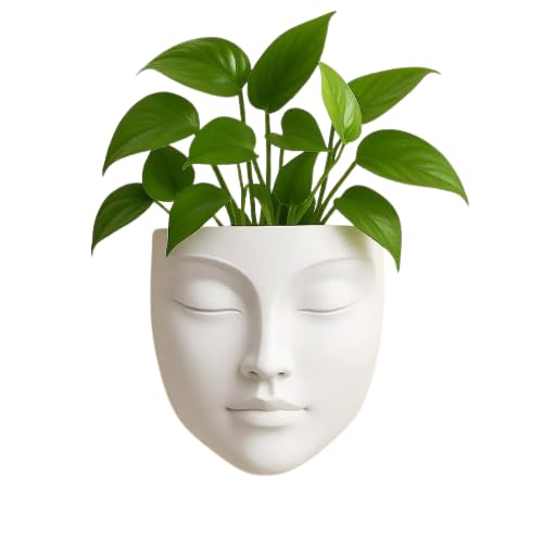 Image of Ceramic Lady Face Wall Hanging Planter (7 Inches, White)| Abstract Oval Face Vase for Indoor Plants | Succulent Planter for Living Room, Balcony & Office Decor | Aesthetic Home Decor Gift