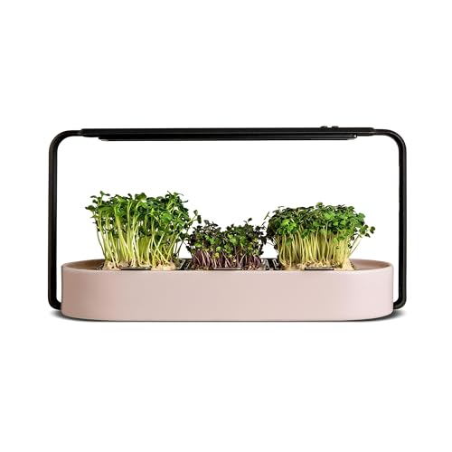 ingarden Microgreens Growing Kit - Organic Superfood Sprouting Seed Pads...