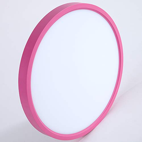 Taloya Flush Mount LED Ceiling Light Pink Girl (12 Inch 20W), Round Modern