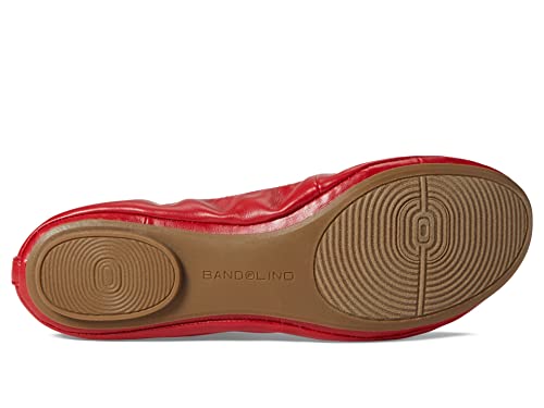 Image of Bandolino Edition 8