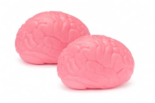 Stretchy Brain Squishy Toys (2 Pack) Stress Relief Toys | Sensory 4564-2