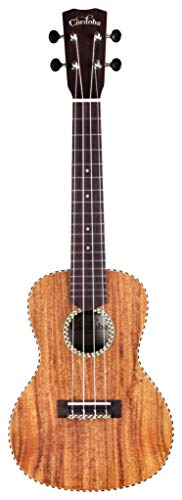 Cordoba guitares 25s Ukulélé soprano, Soprano - Les Beatles, Paul McCartney, John Lennon, RIngo Starr, George Harrison Cordoba guitares 25s Ukulélé soprano, Soprano – Image 3