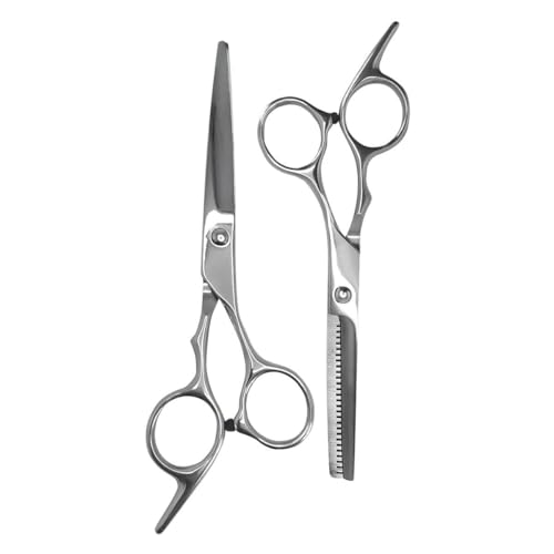 Kit De Tesouras Profissionais Inox [Prata] – Tesoura Reta E De Desfiar, Pente, Presilhas E Lenço Em Estojo Portátil, Corte Preciso E Durável Para Cabelos Masculinos E Femininos