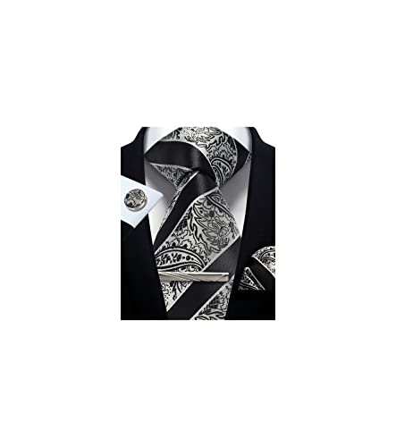 Image of Paisley Floral Mens Tie Formal Necktie Pocket Squares Ties Clips Cufflinks Classic for Men Set