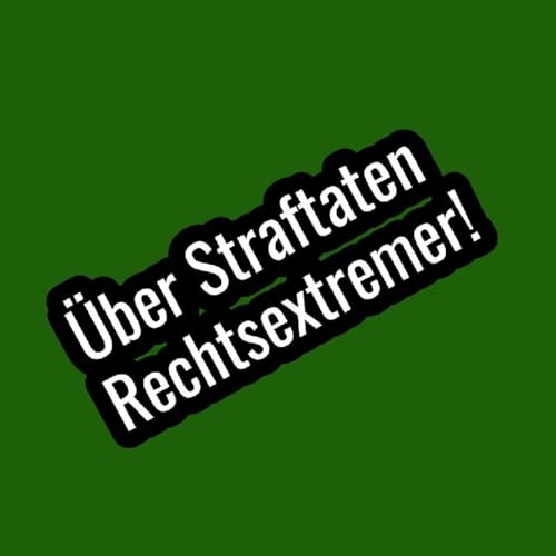 Page de couverture de Straftaten der Rechtsextremer und der AfD - Aufklärung