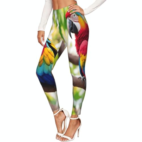 Leggings elásticos para mujer EdsfFehs Fantastic Parrot Feather 1 de alta comodidad y ajuste