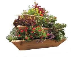 Triolife 3-Tier Plant Pyramid #TOP4