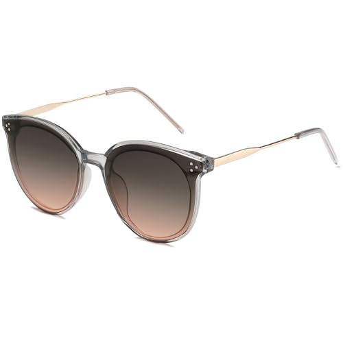 SOJOS Ronde Lunettes de Soleil pour Femme Fashion Trop Grand DOLPHIN,Gris clair/brun dégradé SOJOS Ronde Lunettes de Soleil pour Femme Fashion Trop Grand DOLPHIN,Gris clair/brun dégradé