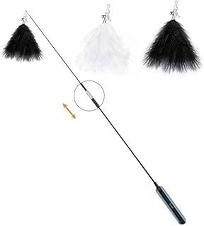 Cat Toys Feather Toy Retractable Cat Wand Toys with Replacement Teaser Interactive Catcher Teaser and Funny Exercise for Kitten or Cats, Extendable to 31.5 inches (80 cm)