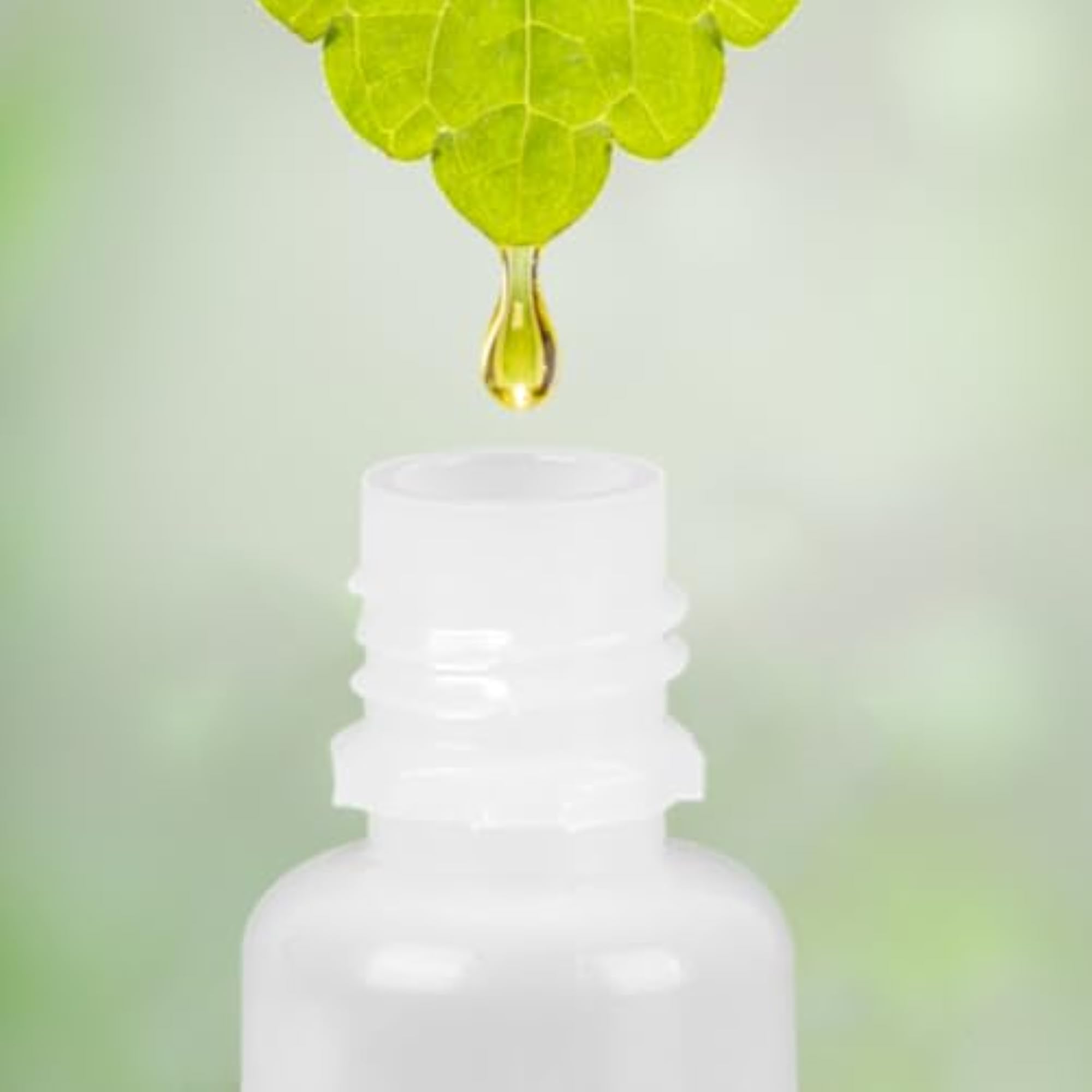20ml Squeezable Dropper Bottle for Essential Oils