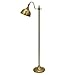 Decor Therapy PL3900 Chloe Pharmacy Floor Lamp, 7.8x14.57x21.93, Zadar Brass