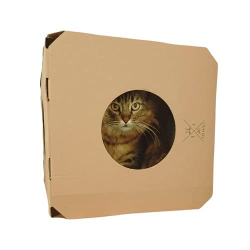 Arranhador para Gatos: Proteja seu Sofá e Cama Box com Cubo de 35x35 - Durável e Eficiente para Pres