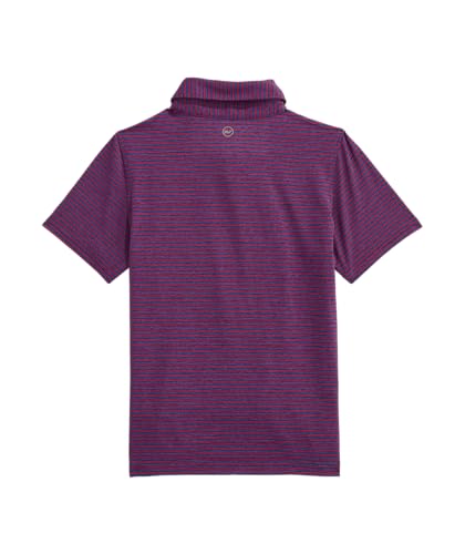 Image of Vineyard Vines Kids Bradley Stripe Sankaty Polo (Toddler /Little Kids /Big Kids)