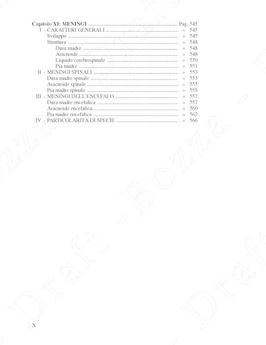Anatomia Comparata Dei Mammiferi Domestici. Neurologia (Sistema Nervoso Centrale) (Vol. 6) - 10