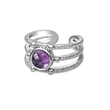 Ladywowu Amethyst Ring, Vintage Purple Rings for Women, Silver Tone Adjustable Crystal Rings for Women, Unisex February Birthstone Ring for Men (Amethyst)