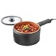 3 PAGEN® Elektrischer Kochtopf mit Deckel 2 Liter, Antihaft Hot Pot Multikocher, Kochen ohne Herd, Elektropfanne, Elektro-Kochtopf mit 2 Temperaturreglern, Multifunktional und energiesparend, 300/600W