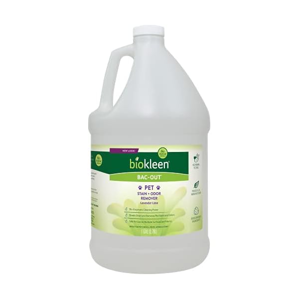 Biokleen BacOut Pet Stain Remover 1 Gallon Enzymatic, Natural