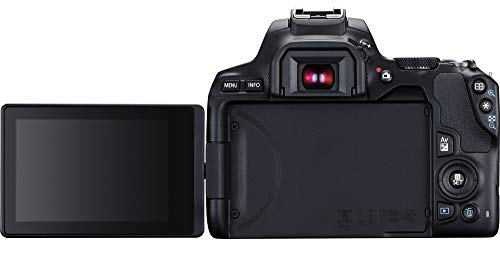 Canon EOS + EF 18 55mm f3.5 5.6 III + EF 75 300mm f4 5.6 III Kit d'appareil photo SLR 24 1 MP CMOS 6000 x 4000 pixels Neuf - vue 7