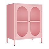Fumedo Small 2 Transparent Door Metal Storage Side Buffet Cabinet for Bed Room,Living Room,Entryway,Hallway,Home,Hotel,Office,Garage,Kitchen,1 Removable Shelf. (Transparent Door, Pink)