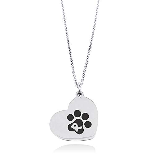 Tioneer Stainless Steel Letter R Initial Cat Dog Paws Monogram Floating Heart Tag Charm Pendant Necklace