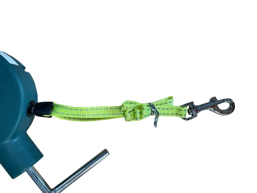 3SixtyFun Verwicklungsfreie drehbare Hundeleine für Reisen, Preisgekröntes Produkt, Naturenthusiasten, Campen, Sport 3SixtyFun grün Verlängerbar; bis zu 5 m