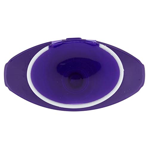 L'Oréal Paris Anti-Gelb Color Vive Purple Shampoo, Shampoo für gebleichtes Haar, Blond, Grau, 200 ml