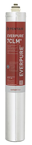 Top Brands Everpure EV977100 Top Brands Everpure EV977100