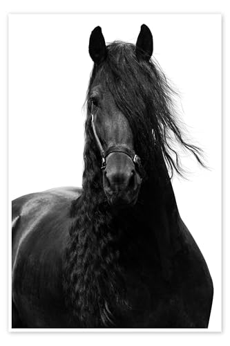 Cheval Poster de Finlay and Noa 20 x 30 cm Noir et blanc Tableaux Décoration murale