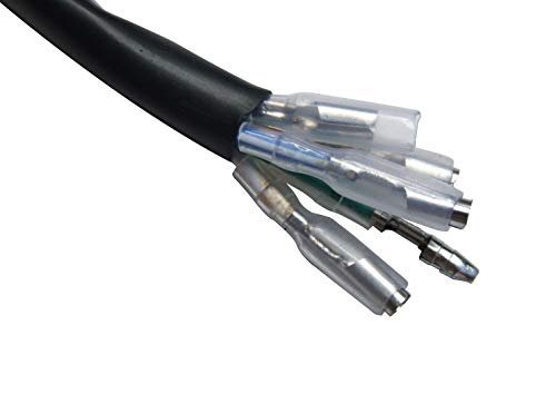 Shamofeng 2 Coil Ignition Magneto Stator For 49Cc 50Cc 70Cc 90Cc 110Cc 125Cc Qiye Taotao Sunl Kazuma Ssr Baja Atv Quad Dirt Kick Bike 4 Wheeler #TOP2