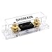 Baomain ANL-100A Electrical Protection ANL Fuse 100 Amp with fuse holder 1 Pack