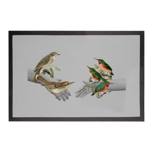 Paillasson gris 60x40cm oiseaux tapis entrée design - 2