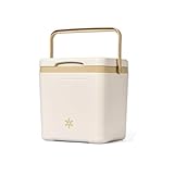 BYCCYB Suitable for Triumph TR2/TR3/TR4/TR5/TR6 Camping - Easy to Clean, Car Trunk Insulated Box Cooler Bag Insulated Trunk Insulation,B 14L