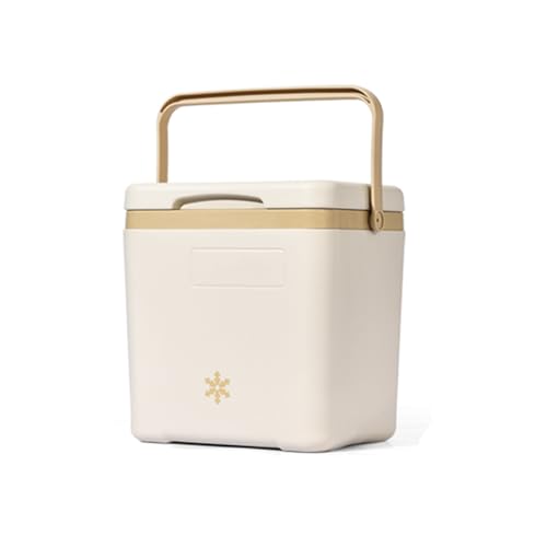 BYCCYB Suitable for Triumph TR2/TR3/TR4/TR5/TR6 Camping - Easy to Clean, Car Trunk Insulated Box Cooler Bag Insulated Trunk Insulation,B 14L