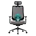 Price comparison product image COLAMY Ergonomic Mesh Office Chair, High Back Computer Executive Desk Chair with Adjustable Headrest and 4D Arms, Slide Seat, Tilt Lock, Black
