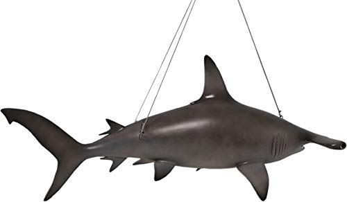 Amazon | 全長184cm！ハンマーヘッド シャーク サメ 巨大