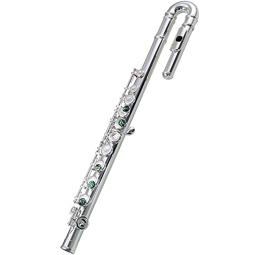 t[gy 16 t[g S qp [t[g wZw NXt[g t[gy