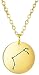 Collier Pendentif En Acier Inoxydable Collier Zodiaque Femmes Filles 12 Constellation Lion Gémeaux Taureau Bélier Balance Vierge Pendentif Colliers-Acier Color_Aries 2021 Collier Cadeau pour