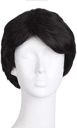 Amazon Typec 黒髪 メンズ フル ウィッグ お父さん にっこり 中高年 サイズ調整可能 土台メッシュで通気性抜群 ヘアネット 遮光防水 バッグ パッケージ かつら 中年 コスプレ 仮装 通販