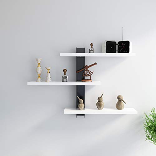Decorotika Mita Adjustable Industrial Accent Wall Shelves with Colour Options (White and Black)
